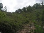 PICT0137 (Copiar).JPG