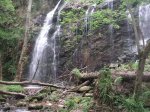 PICT0160 (Copiar).JPG