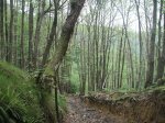 PICT0178 (Copiar).JPG