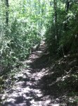 IMG_1234.JPG