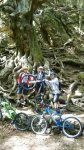 DSC_0536.1.JPG
