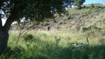 DSC00124.JPG