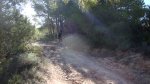 DSC00136.JPG