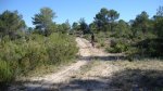 DSC00142.JPG