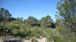 DSC00148.JPG