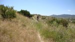DSC00177.JPG