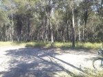 CAM00428.jpg