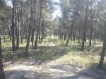 CAM00429.jpg