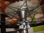 DSC00659.JPG