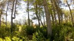GOPR0036.MP4_snapshot_00.07_[2013.05.26_15.33.01]_800x450.jpg