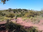 2013-05-25 10.29.16.jpg