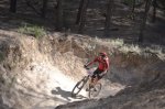 v aranjuez2.jpg