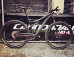 canondale max platon.jpg