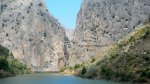 DSCN9854.jpg