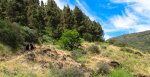 IMG_7354.jpg