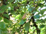 IMG_7369.jpg