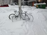 mor snow.jpg