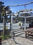 DSC00054.jpg
