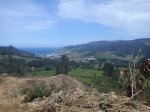 DSC00056.jpg