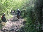 palmerakuak 097 (Copiar) (Copiar).JPG