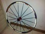 20130528_203721_redimensionar.jpg
