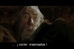 correr_insensatos.jpg