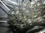20130529_130757.jpg