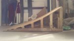 IMG-20130310-WA0002.jpg