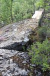IMG_9176.jpg