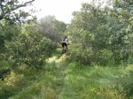IMG_20130522_185913.jpg