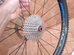 290520133512.jpg