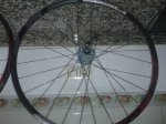 20130530_132435.jpg