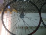 20130530_132442.jpg