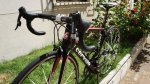cervelo frontal.jpg