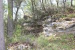 IMG_9194.jpg