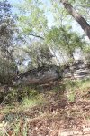 IMG_9195.jpg