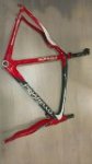 pinarello.jpg