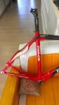 pinarello6.jpg