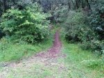 2013-06-01 12.45.52.jpg