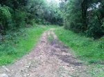 2013-06-01 12.46.10.jpg