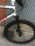 Alkon 4b.jpg