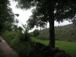 PICT0058 (Copiar).JPG