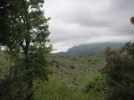 PICT0064 (Copiar).JPG