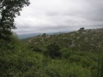 PICT0071 (Copiar).JPG