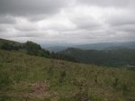 PICT0081 (Copiar).JPG