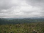 PICT0091 (Copiar).JPG