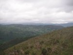 PICT0099 (Copiar).JPG