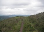 PICT0100 (Copiar).JPG