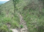 PICT0102 (Copiar).JPG