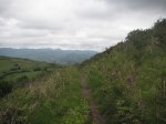 PICT0103 (Copiar).JPG